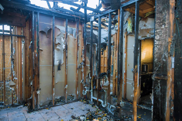 Professional Fire Damage Removal technician working in Woodstock, VA
