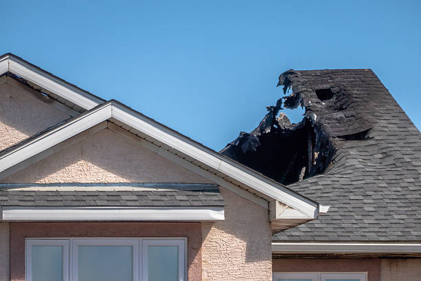 Top rated local Fire Damage Removal specialists in Woodstock, VA